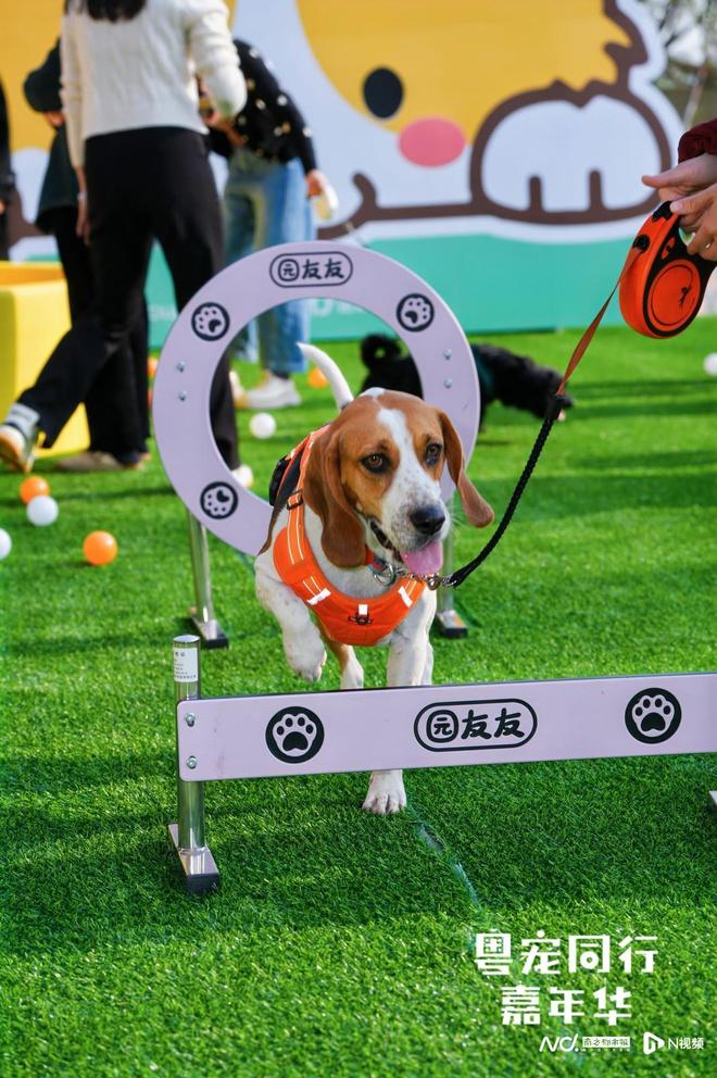 宠同行”广东宠物友好空间测评项目启动pg电子试玩平台破译“它经济” “粤(图3)