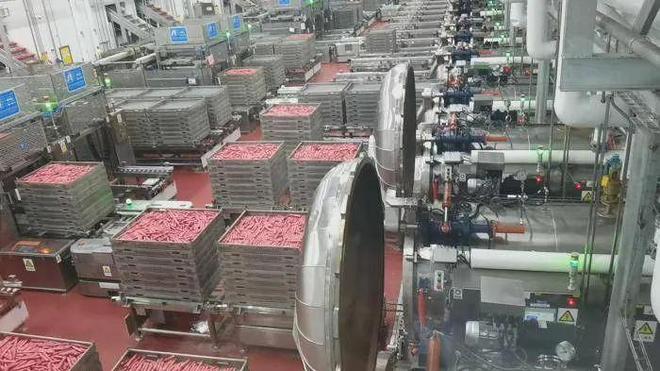 城养出全球最大猪肉巨头pg电子平台河南一座小(图10)